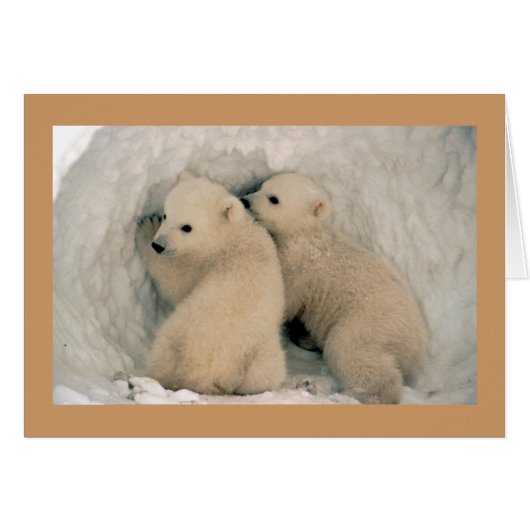 Card / Polar Bear Cubs (Front Horizontal)