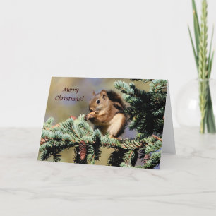 Card / Red Squirrel / Christmas