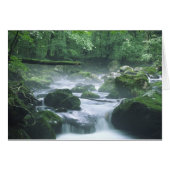 CARD - RIVER (Front Horizontal)