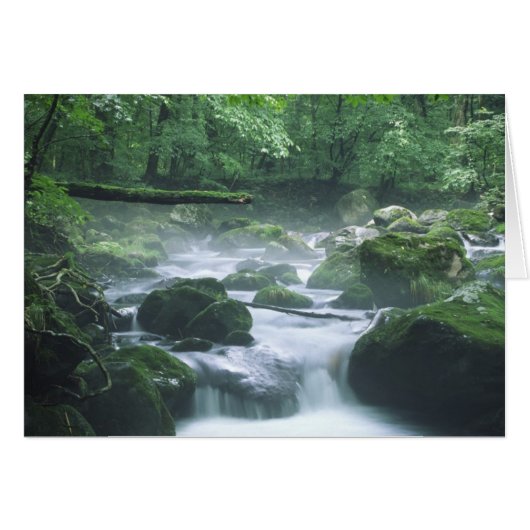 CARD - RIVER (Front Horizontal)