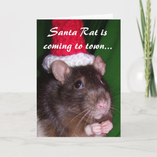 Card: Santa Rat Holiday Card