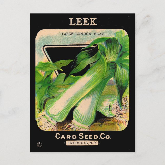 Card Seed Company envelope cover - leeks (Front)