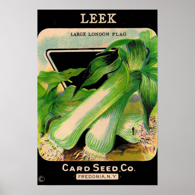 Card Seed Company envelope cover - leeks Poster (Front)