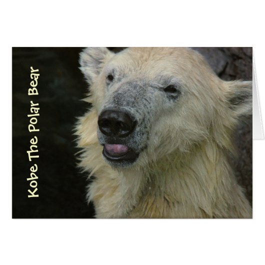 Card: Smiling Polar Bear Cards (Front Horizontal)