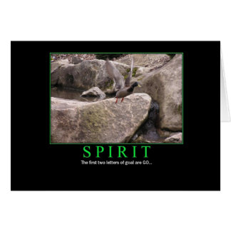 Card: Spirit - fly - goal: GO!