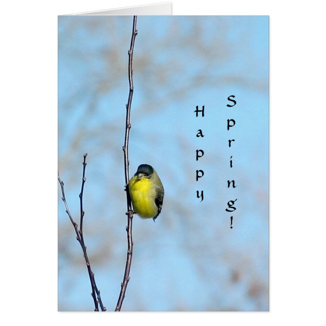 Card - Spring Finch