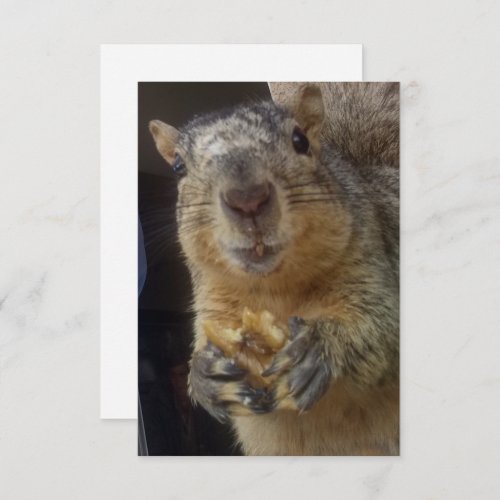 Card _ Squirrel Thank You