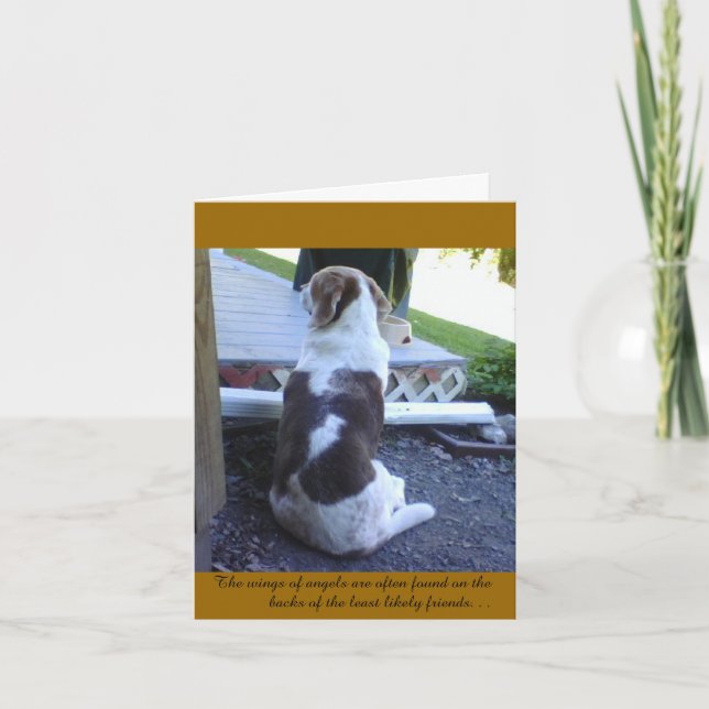 Card - Sympathy Card -Pet (Front)