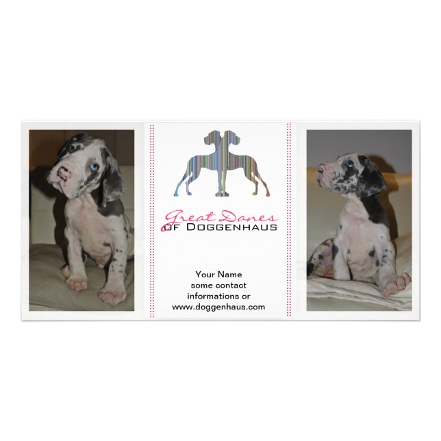 Card Template Great Danes (Front)