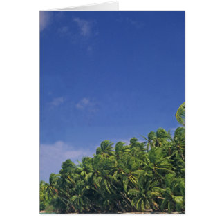 Card, the Shoreline of Pukapuka. Cards