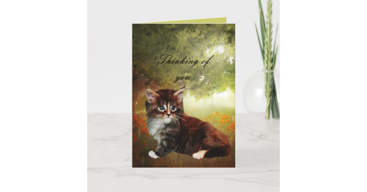 card-thinking-of-you-cat-kitten-zazzle