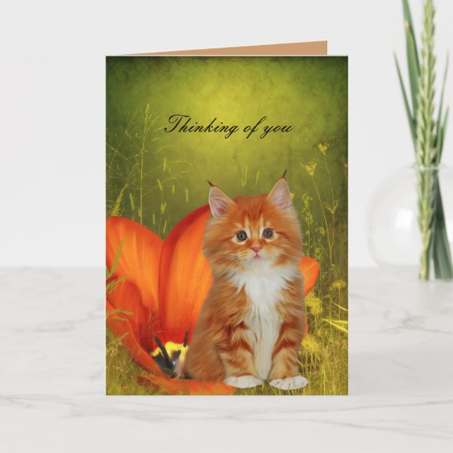 Card White Cat Kitten Flowers "Thinking of you" (Front)