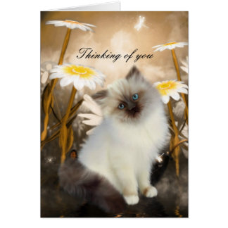 Cute Kitten Thinking Of You Gifts on Zazzle