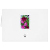 Card with butterflies1.1 (Back Horizontal)