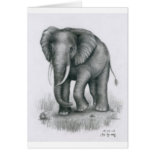 Card with Elephant by Vannak Anan Prum (Front)