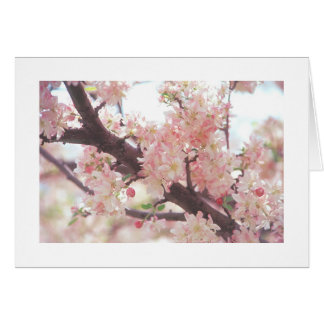 card with photo of blossoming tree branch