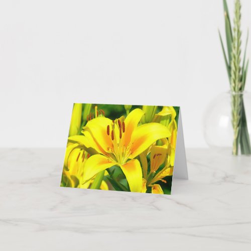 card YELLOW AND SIENNA DAY LILY Card