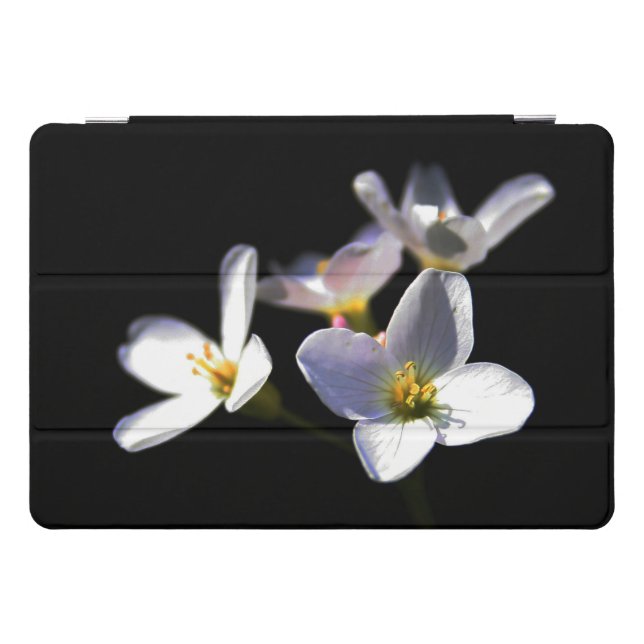 Cardamine Pratensis Flowers ipacnm iPad Pro Cover (Horizontal)