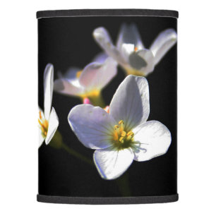 Cardamine Pratensis Flowers lscnm Lamp Shade