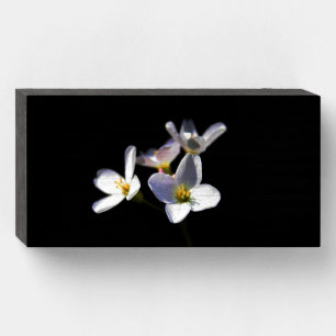 Cardamine Pratensis Flowers wbs8x4cna Wooden Box Sign