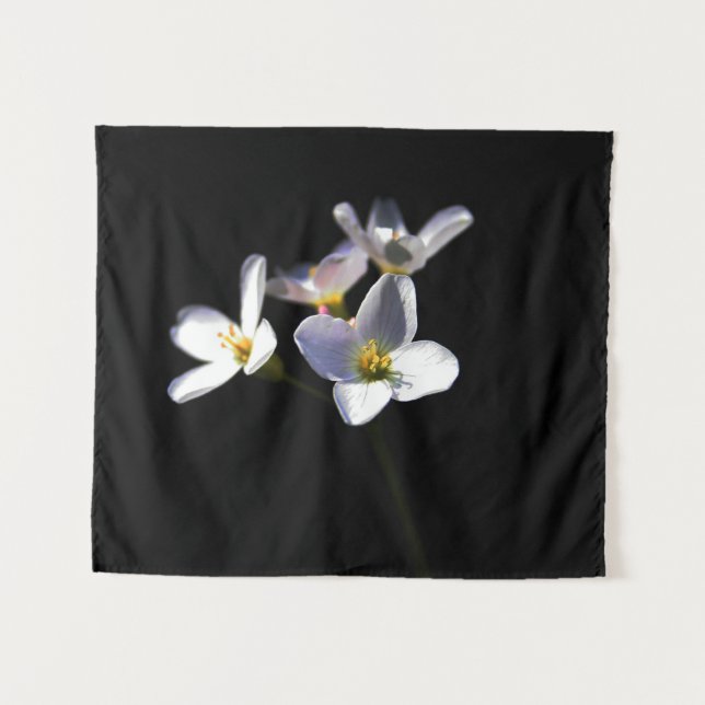 Cardamine Pratensis Flowers wta Tapestry (Front (Horizontal))