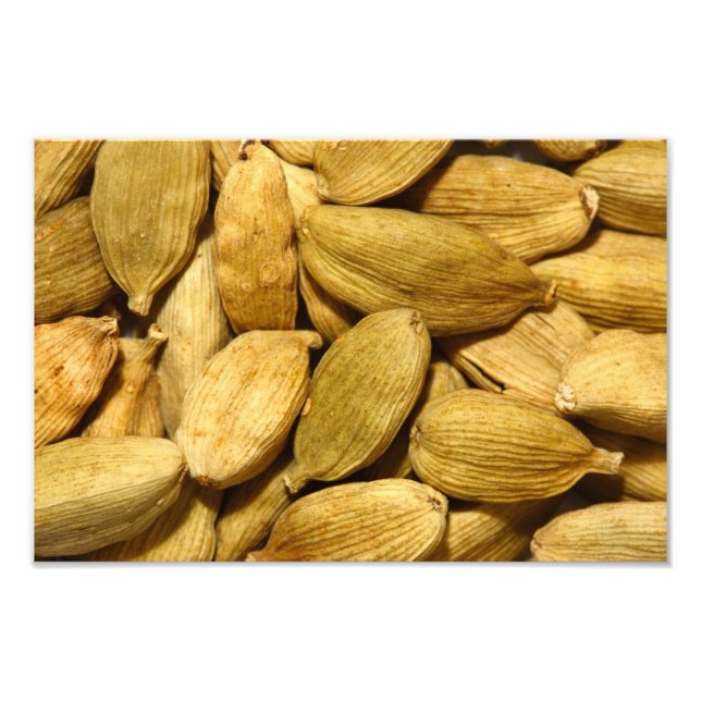 Cardamom pods photo print (Front)