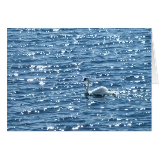 Cardiff Bay, Cardiff, Wales (Front Horizontal)