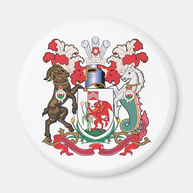 Cardiff Coat of Arms Magnet (Front)