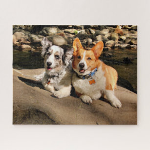 Pembroke Welsh Corgi dog Jigsaw Puzzle for Sale by savousepate