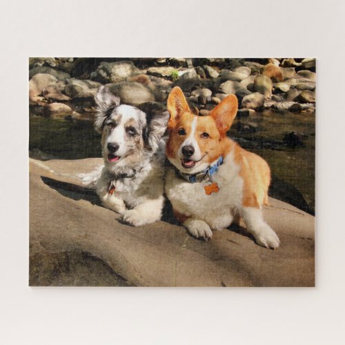 Cardigan and Pembroke Welsh Corgis Jigsaw Puzzle