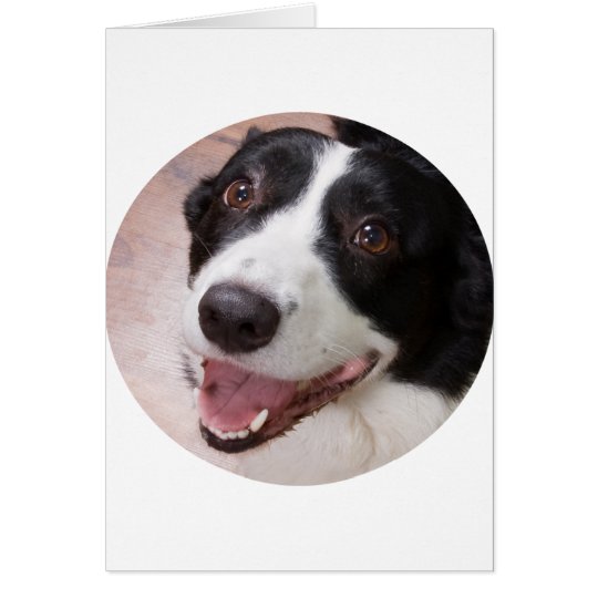 Cardigan Welsh corgi Card