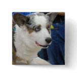 Cardigan Welsh Corgi Dog  Button