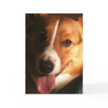 Cardigan Welsh Corgi Greeting Card