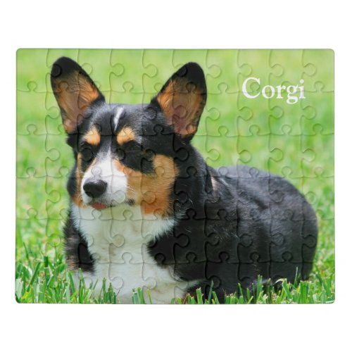 Cardigan Welsh Corgi Jigsaw Puzzle