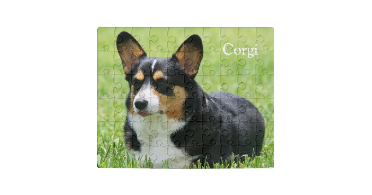 Cardigan Welsh Corgi Puzzle – Corgi Things