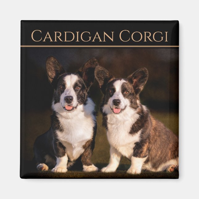 Cardigan Welsh Corgi Magnet (Front)