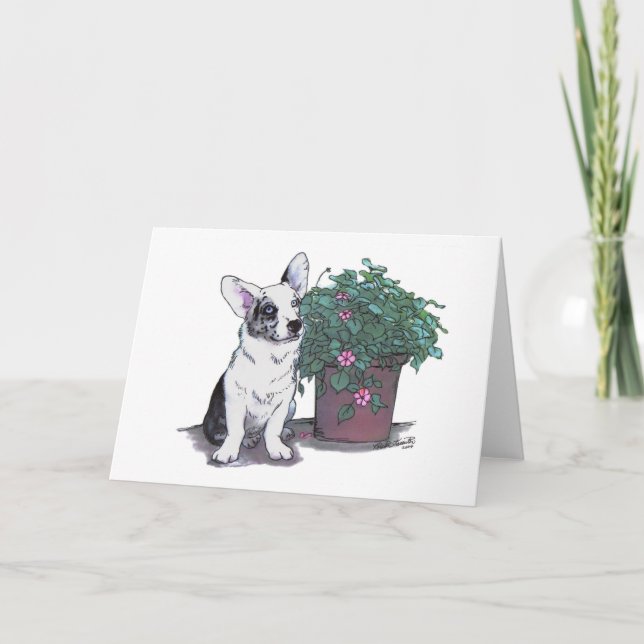 Cardigan Welsh Corgi Notecard  ~  Blue Merle (Front)