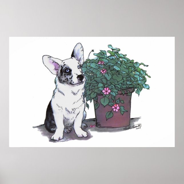 Cardigan Welsh Corgi Print  ~  Blue Merle (Front)