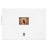 Cardinal (Back Horizontal)