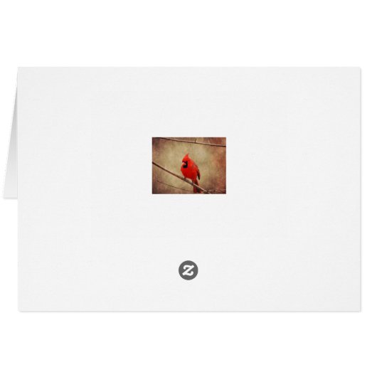 Cardinal (Back Horizontal)