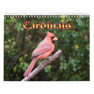 Cardinal Bird Calendars | Zazzle