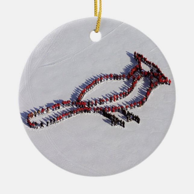 Cardinal 2010 People Project ornament (Front)