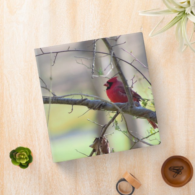 Cardinal     3 ring binder (In Situ)