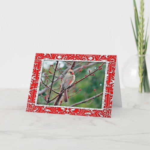 Cardinal 4539 Frame Christmas Card