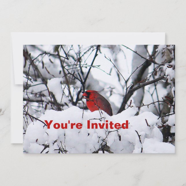 Cardinal 6216 Birthday Invitation (Front)