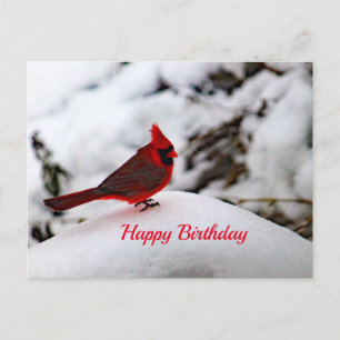 Cardinal 6239 Birthday Postcard