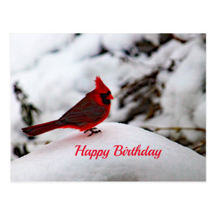 With Cardinal Birthday Cards | Zazzle