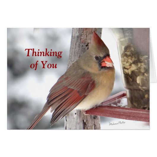 Cardinal 6649 TofY - customize Cards (Front Horizontal)