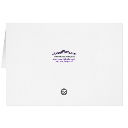 Cardinal 6649 xc - customize (Back Horizontal)