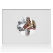 Cardinal 6649 xc - customize cards (Inside Horizontal (Top))